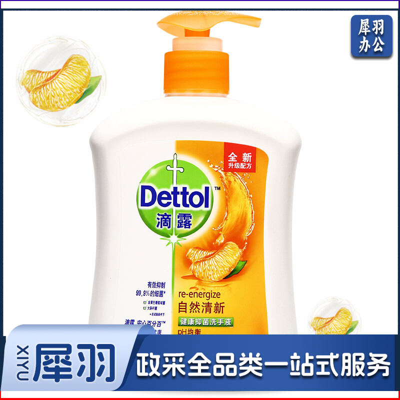 滴露500ml自然清新洗手液