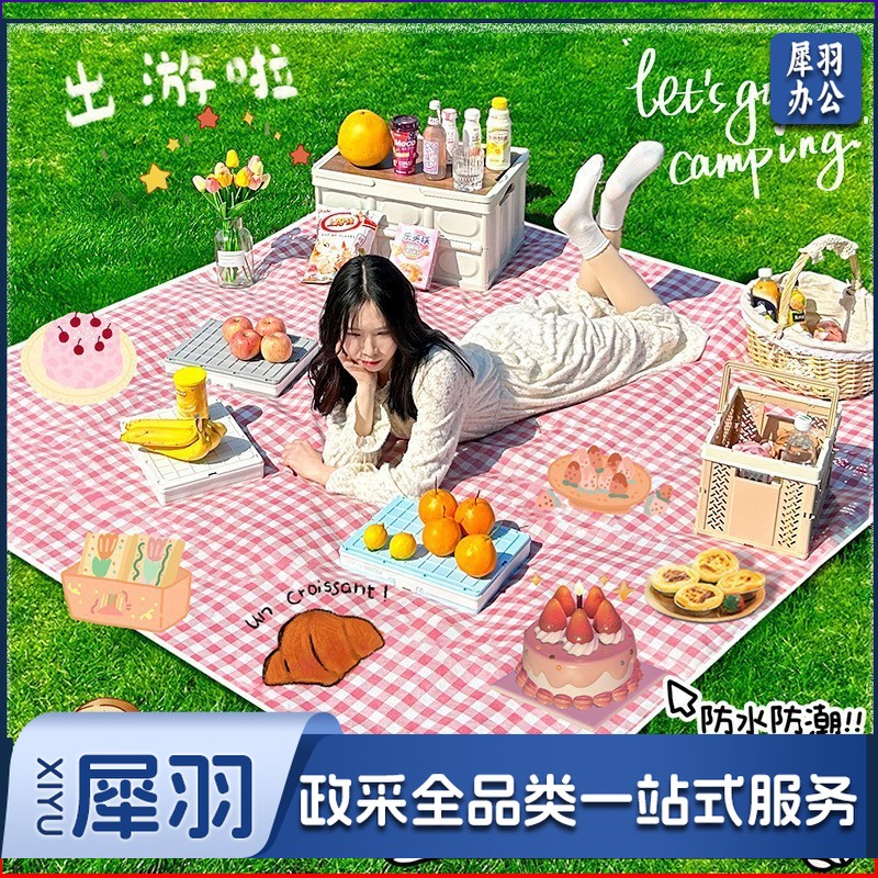 野餐垫野餐布ins风露营垫子户外防潮垫便携春游地垫野餐防潮垫（200*200cm可围坐6-8人 可躺平4人）