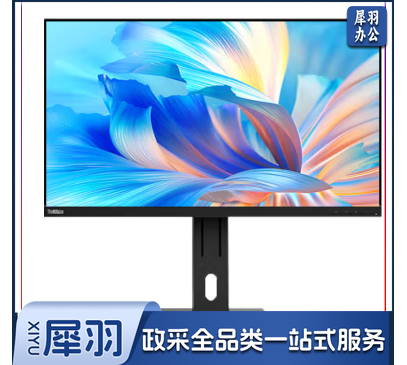 联想(Lenovo) ThinkVision28英寸电脑显示器 E28U-20 4K UHD超清 IPS技术 原生滤蓝光 支持壁挂 HDMI/DP接口