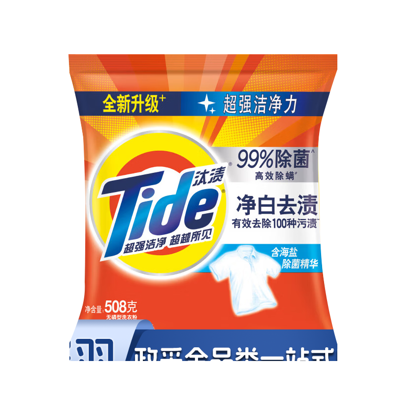 汰渍 洗衣粉(小袋)508克/袋