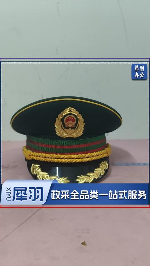 帽子（含帽徽）