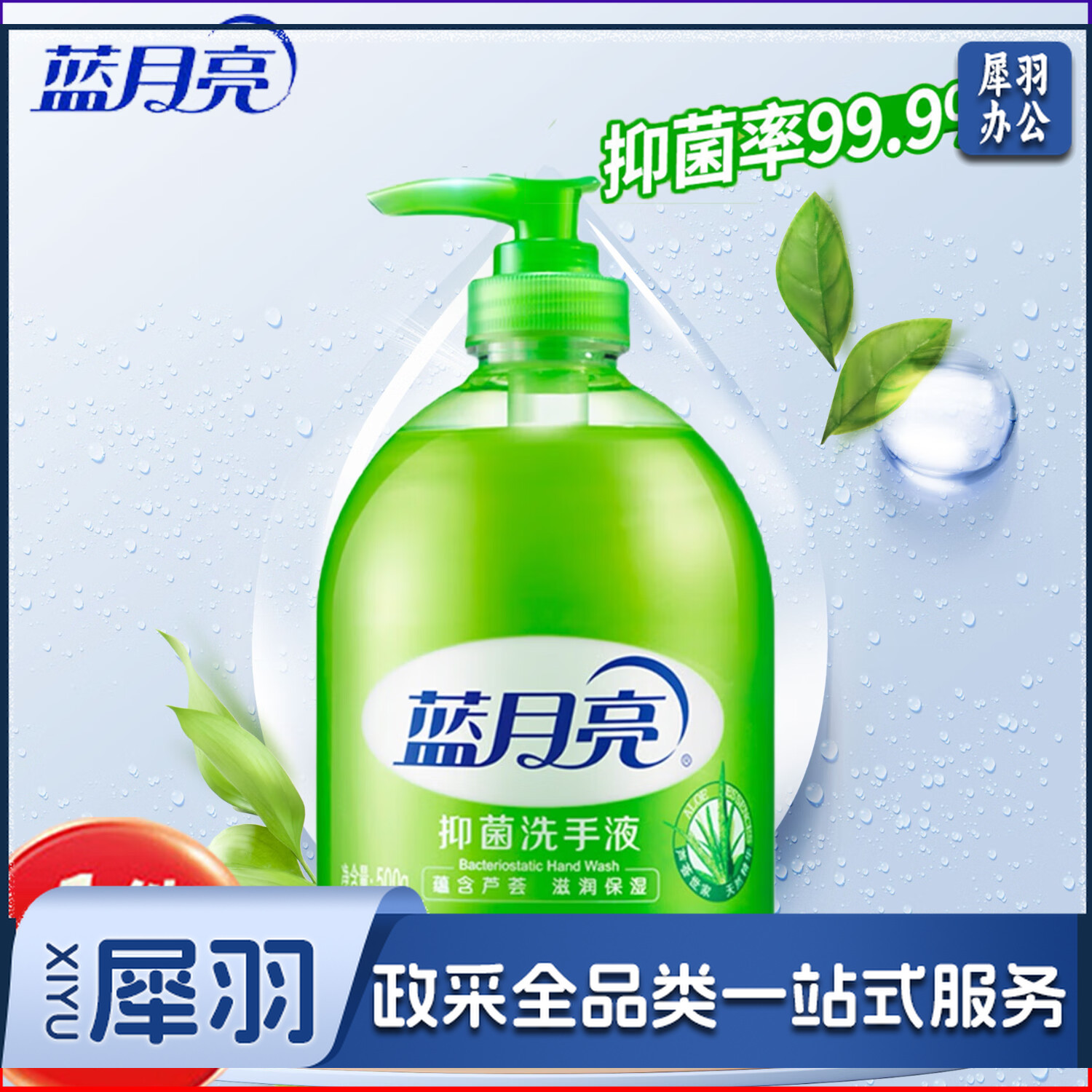 蓝月亮 BLUEMOON 芦荟抑菌洗手液 500ml瓶装