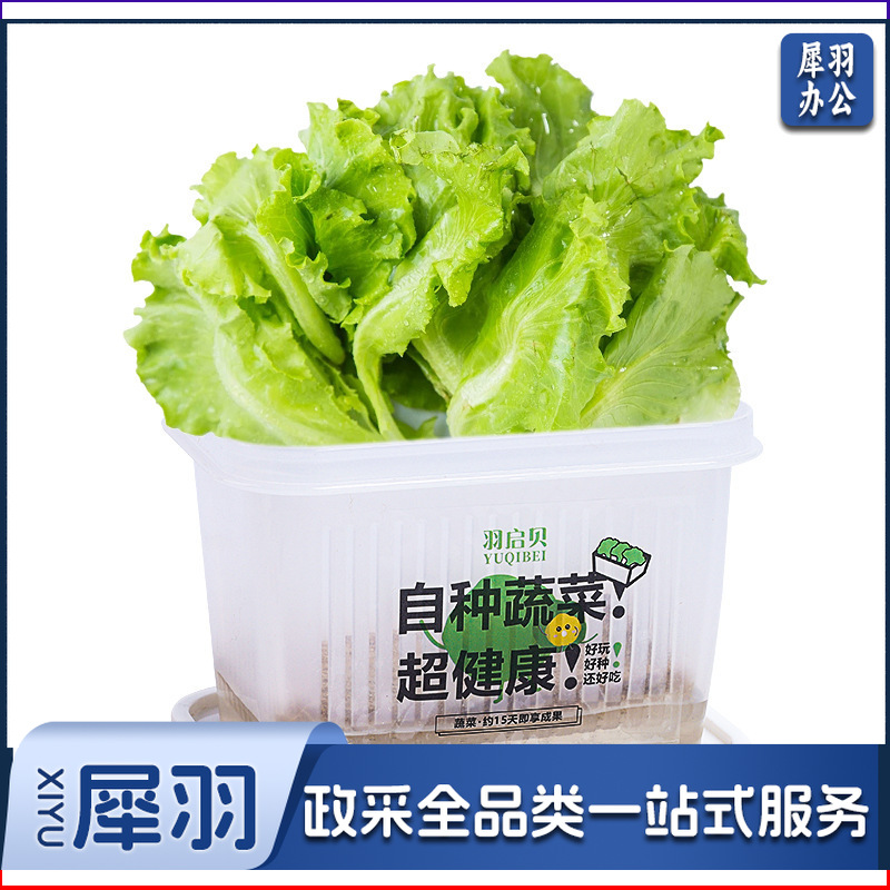 创意盆栽水培阳光种植房儿童玩具科学实验套装植物生长观察盒diy基础款（无字盒子/毛毡、种子）