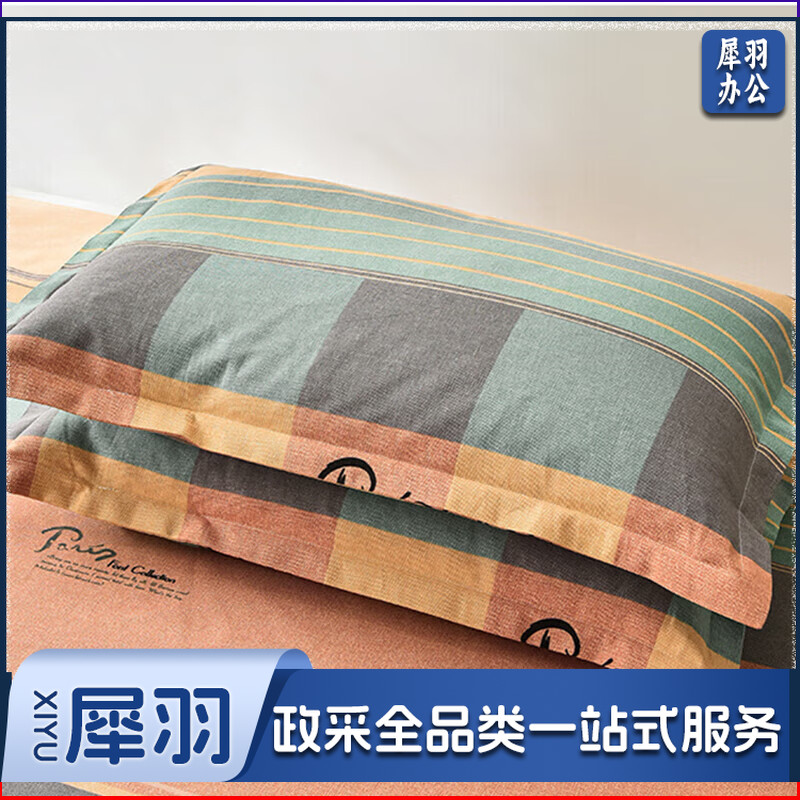 枕头+枕套（套）