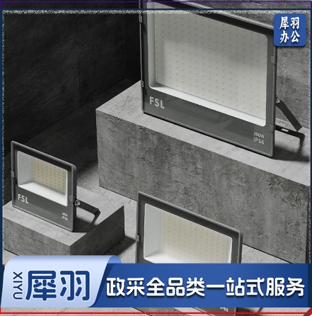 佛山FSL 投光灯 220V200W865K