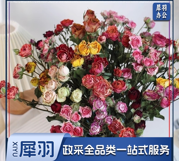 天然真花家居插花装饰diy手工活动干花材软装蔷薇混搭40朵左右 送配草