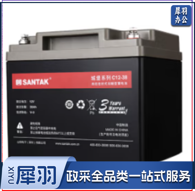 山特(SANTAK) 山特UPS电源电池铅酸蓄电池免维护12V38AH