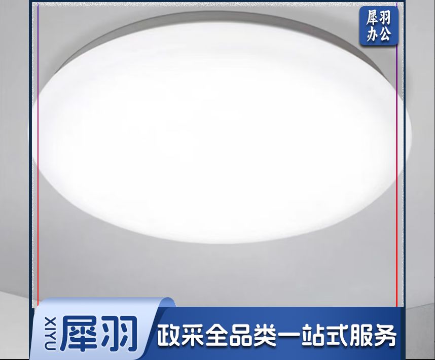 圆形吸顶灯(37cm 45W   白光)