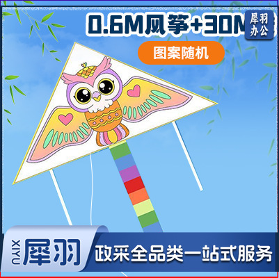 手绘风筝手工diy材料包绘画涂鸦儿童卡通玩具春季户外出游活动（填色风筝【0.6m】+30m线）