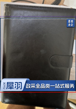 大活页本 B5 9孔