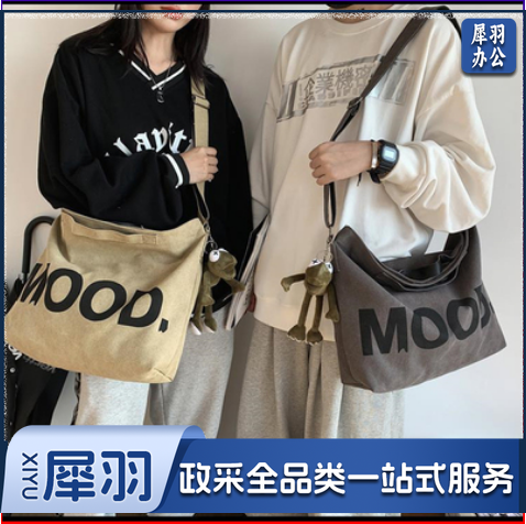 帆布包女单肩包斜挎包包布袋手提2023年新款大学生上课大容量手提包