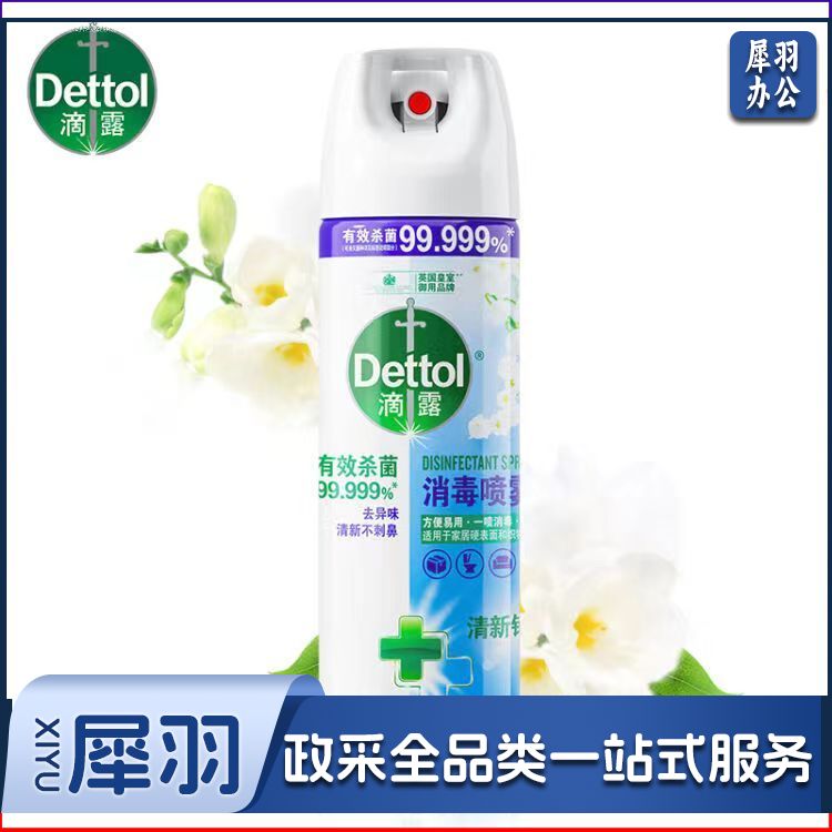 滴露消毒喷雾 454ml