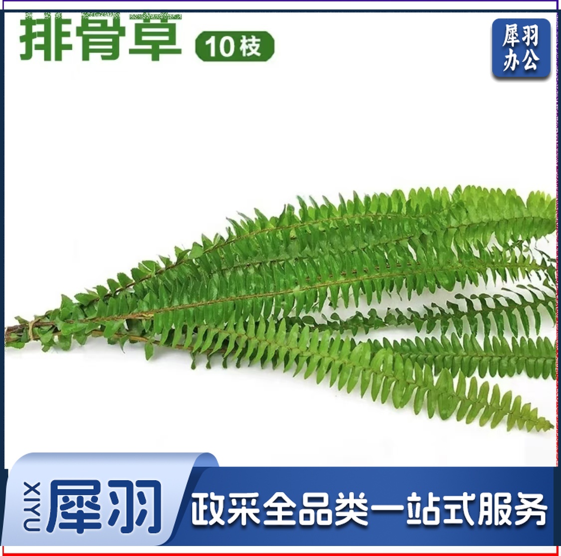 酒店西餐花草摆盘排骨草(10片/包 )