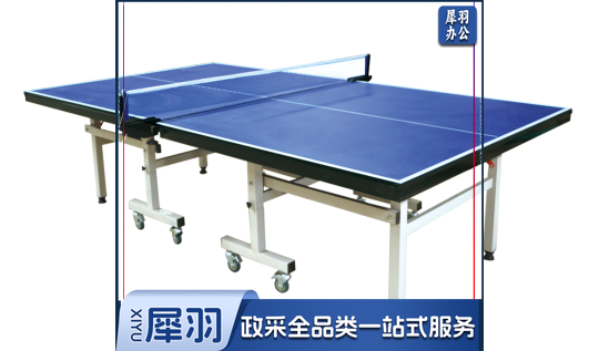 室内乒乓球台