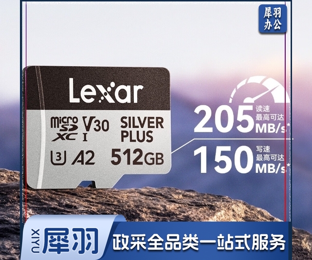 雷克沙（Lexar）512GB TF（MicroSD）存储卡 V30 4K 读205MB/s