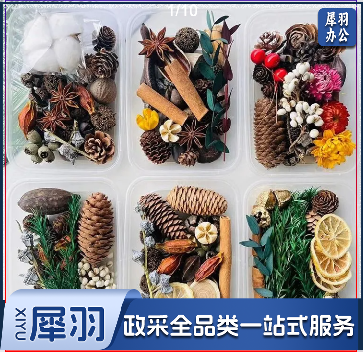 混装手工diy材料包花材天然植物干花幼儿园森系环创装饰圣诞松果