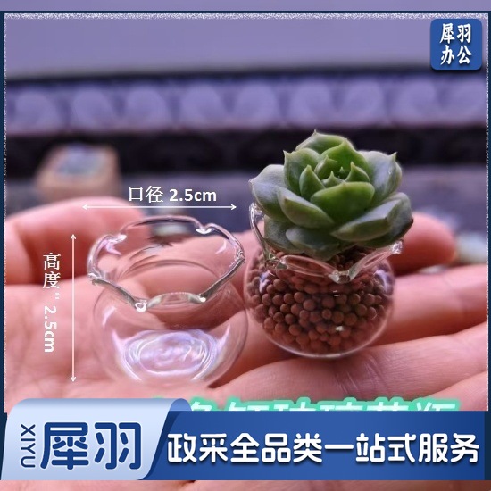 5e06a04e-7d88-4698-86f9-1b5fe543f731.jpe