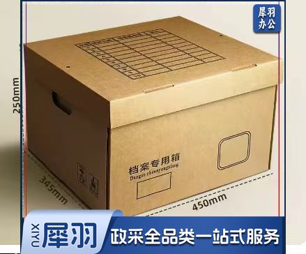档案箱 /文件书籍整理收纳箱