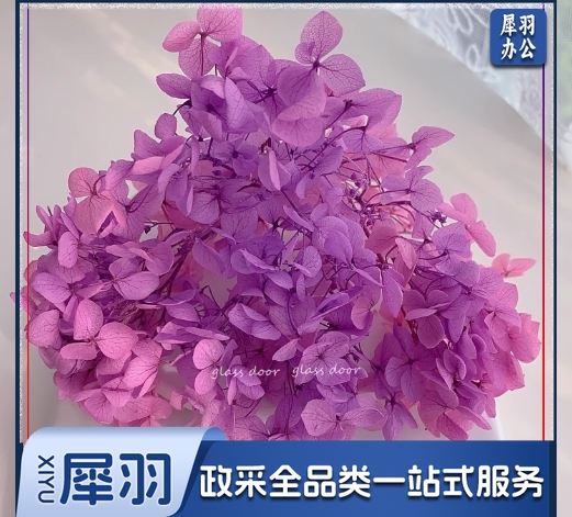 永生花绣球渐变色手工diy干花婚鞋贴脸玻璃罩花器团建活动花艺课安娜粉紫渐变5克