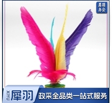 大花毽 踢毽子  10只为一组