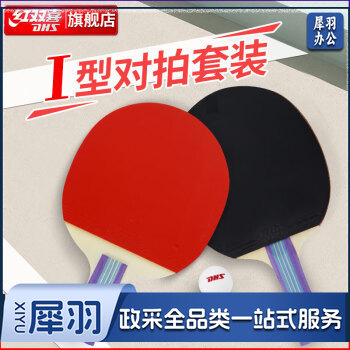 红双喜对拍家庭娱乐健身入门套装两拍一球乒乓球拍I型套拍