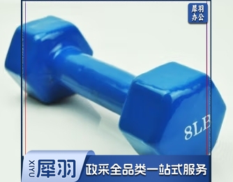 六角哑铃 浸胶哑铃  健身器材 8LB 8磅重手铃 1个装