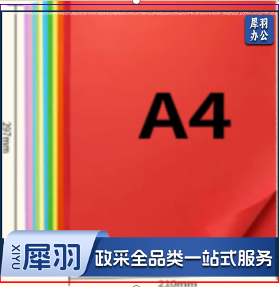 A 4 彩色纸 （混10色） （100张/包）