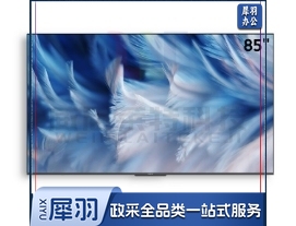 创维(SKYWORTH) 85BK20 AirHub 85英寸智慧屏 易办公会议电视 无线传屏投影视频会议商用电视