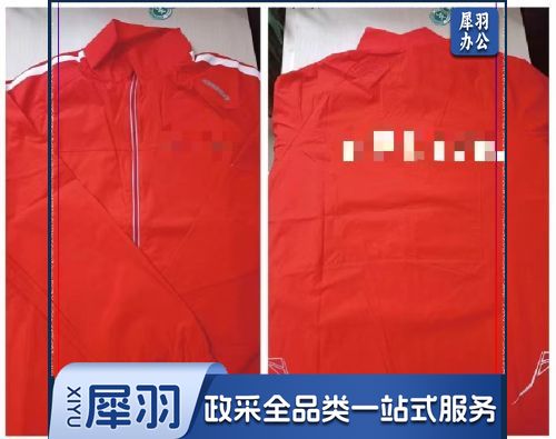 运动服  运动服单上衣
