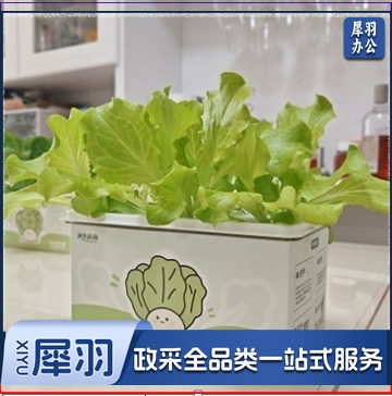 儿童水培生菜种植观察套装无土小盆栽幼儿园DIY科学种子种植玩具（水培生菜果蔬种植盒4孔套装（种子，肥料））