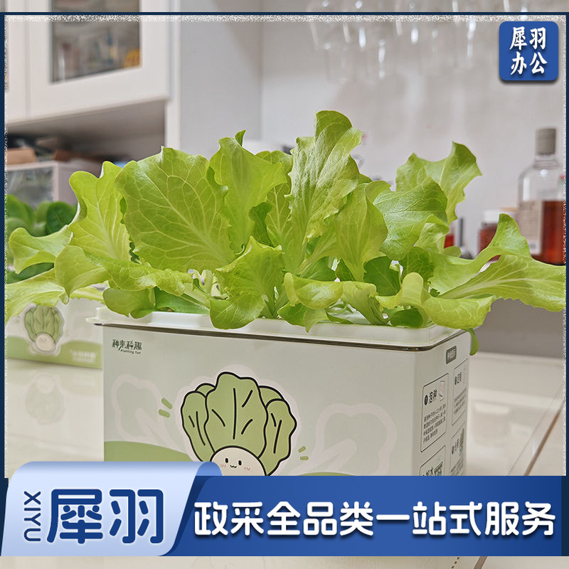 水培生菜果蔬种植盒6孔套装（种子，肥料）