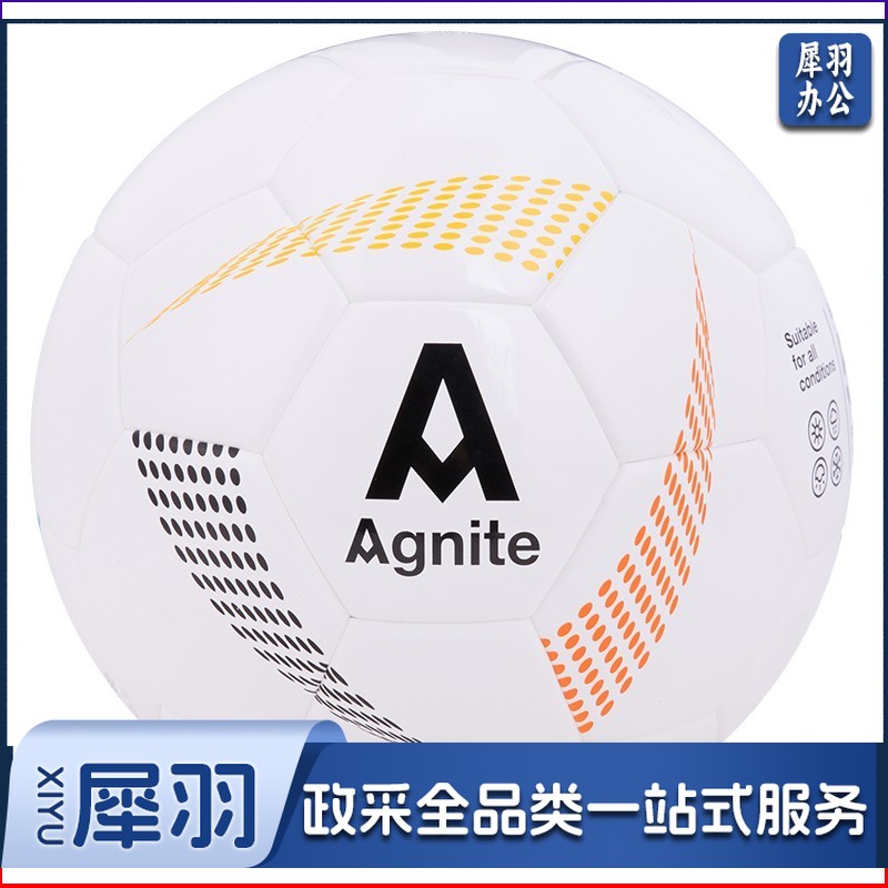 安格耐特F1217_5号PU贴皮足球(白色+蓝色)