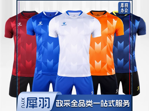 足球服套装 8251ZB1003 (含印字)