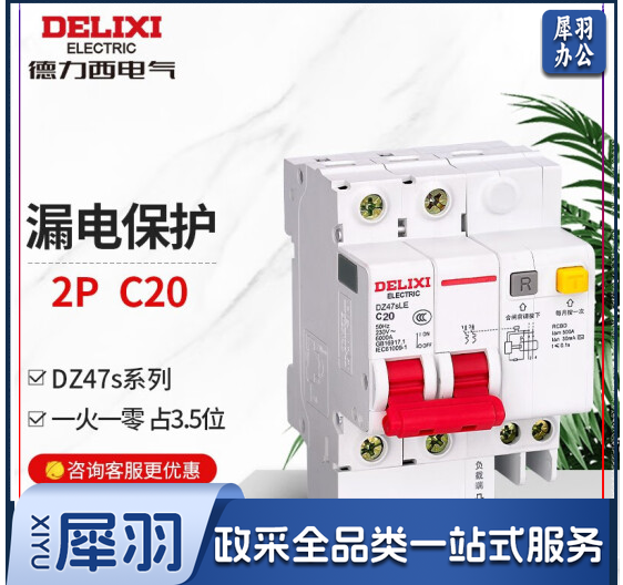 德力西电气漏电保护器2P 家用空开总闸断路器漏保空气开关DZ47SLE 20A