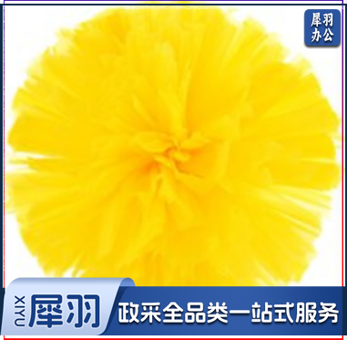 啦啦队花球124体育运动防撞设备