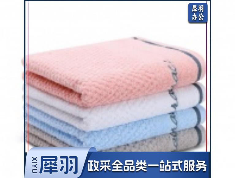 洁丽雅 毛巾