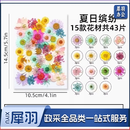 干花diy材料压花书签押花画满天星玫瑰真树叶植物标本夏日缤纷(约40片)滴胶