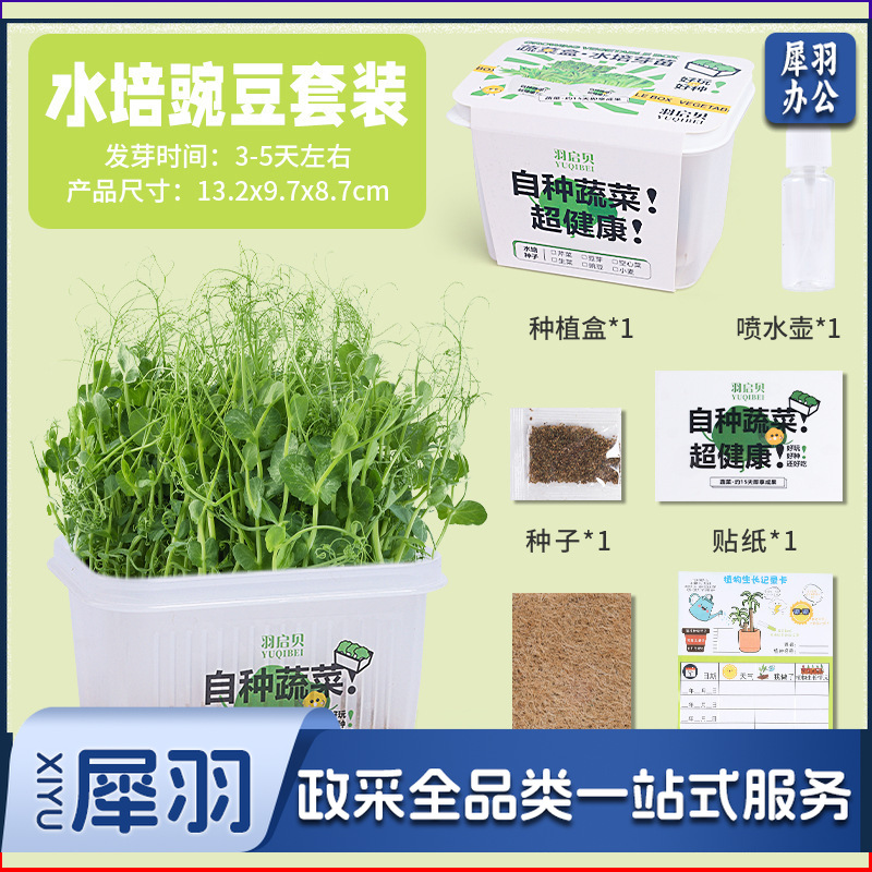 创意盆栽水培阳光种植房儿童玩具科学实验套装植物生长观察盒diy基础款（升级款 ）