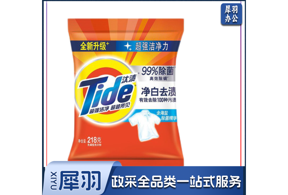 汰渍净白去渍洗衣粉 218g