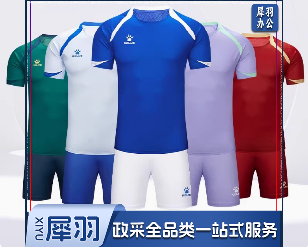 足球服套装 8451ZB1583(含印字)