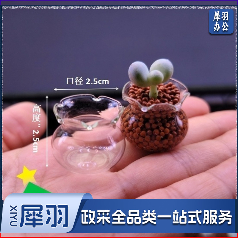 【多肉花盆迷你玻璃】花边鱼缸拇指盆高颜值花园阳台超萌可爱清新2.5*2cm多肉玻璃瓶
