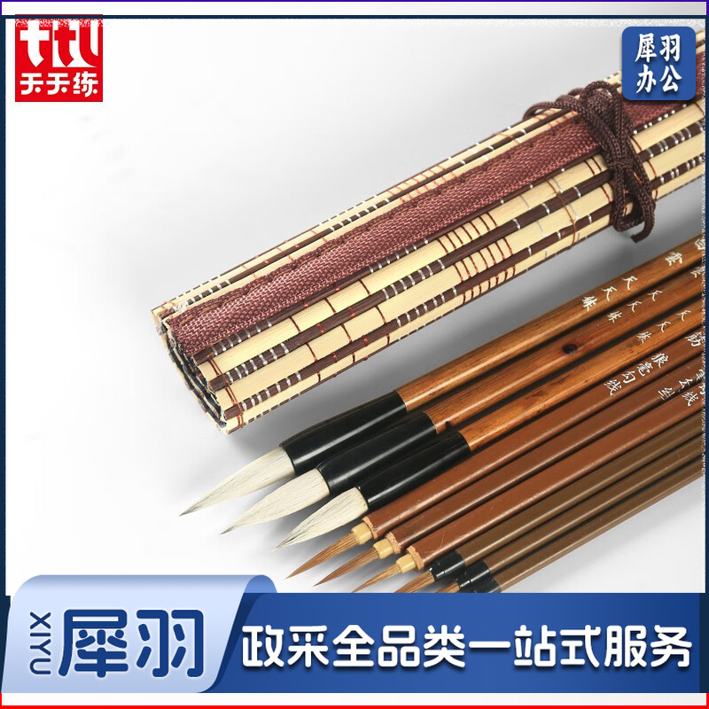 天天练（Tiantianlian）TN-0484 国画毛笔套装9支 初学者加健白云兼毫叶筋狼毫毛笔