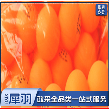 安格耐特 乒乓球 6个球装