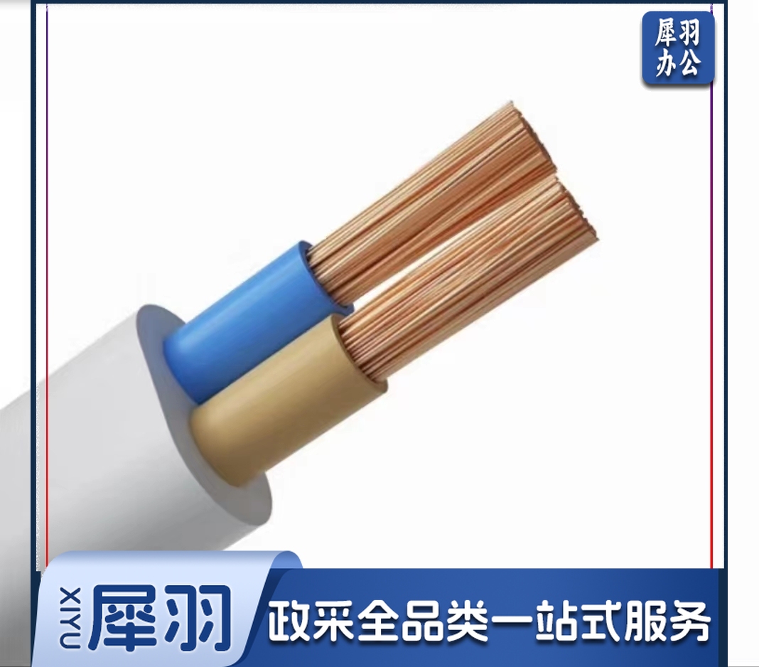 插座电源线两芯包皮线护套线国标rvv电缆线 1米