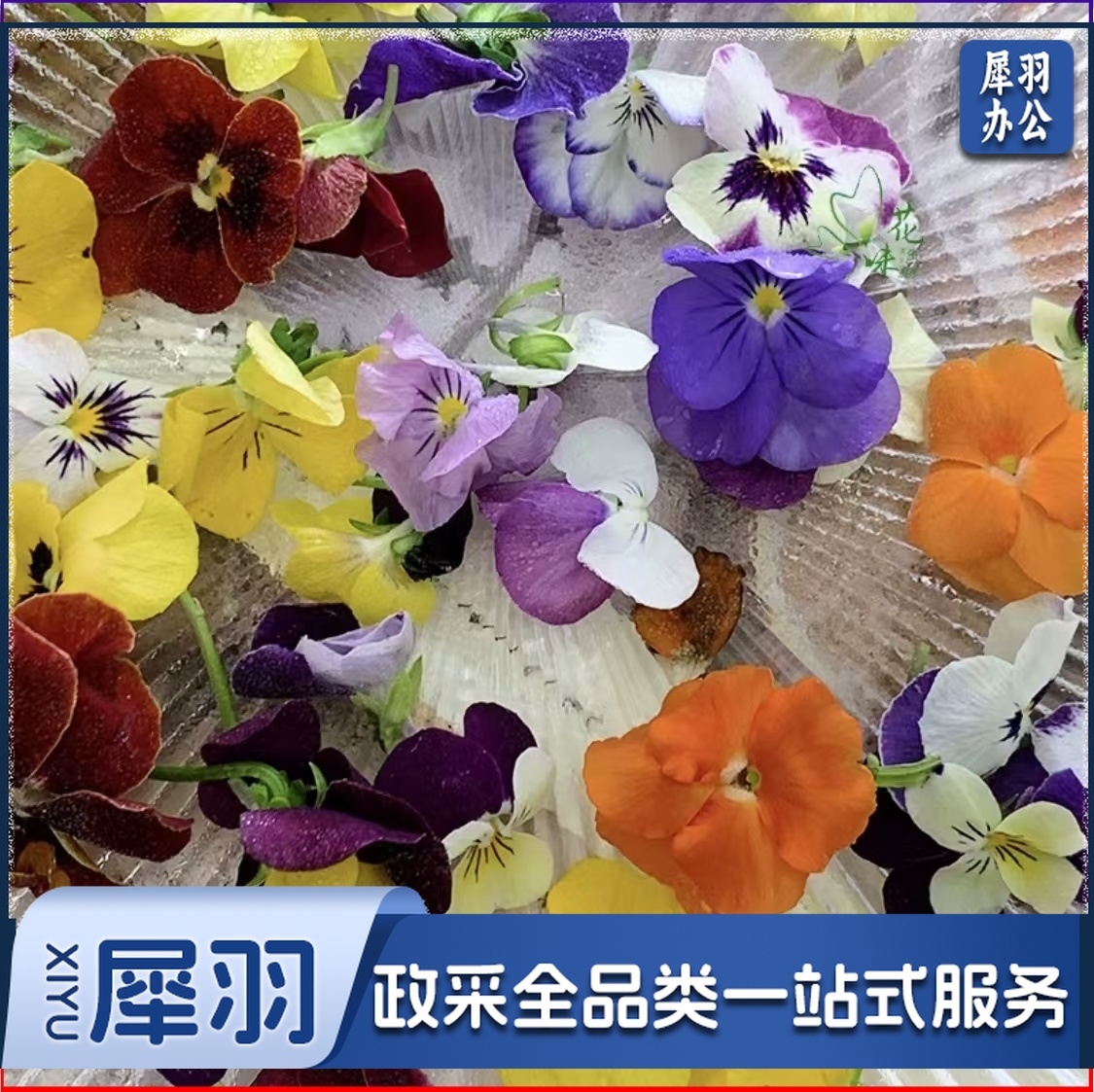 酒店西餐花草摆盘新鲜三色堇鲜花(50朵/包 )可食用