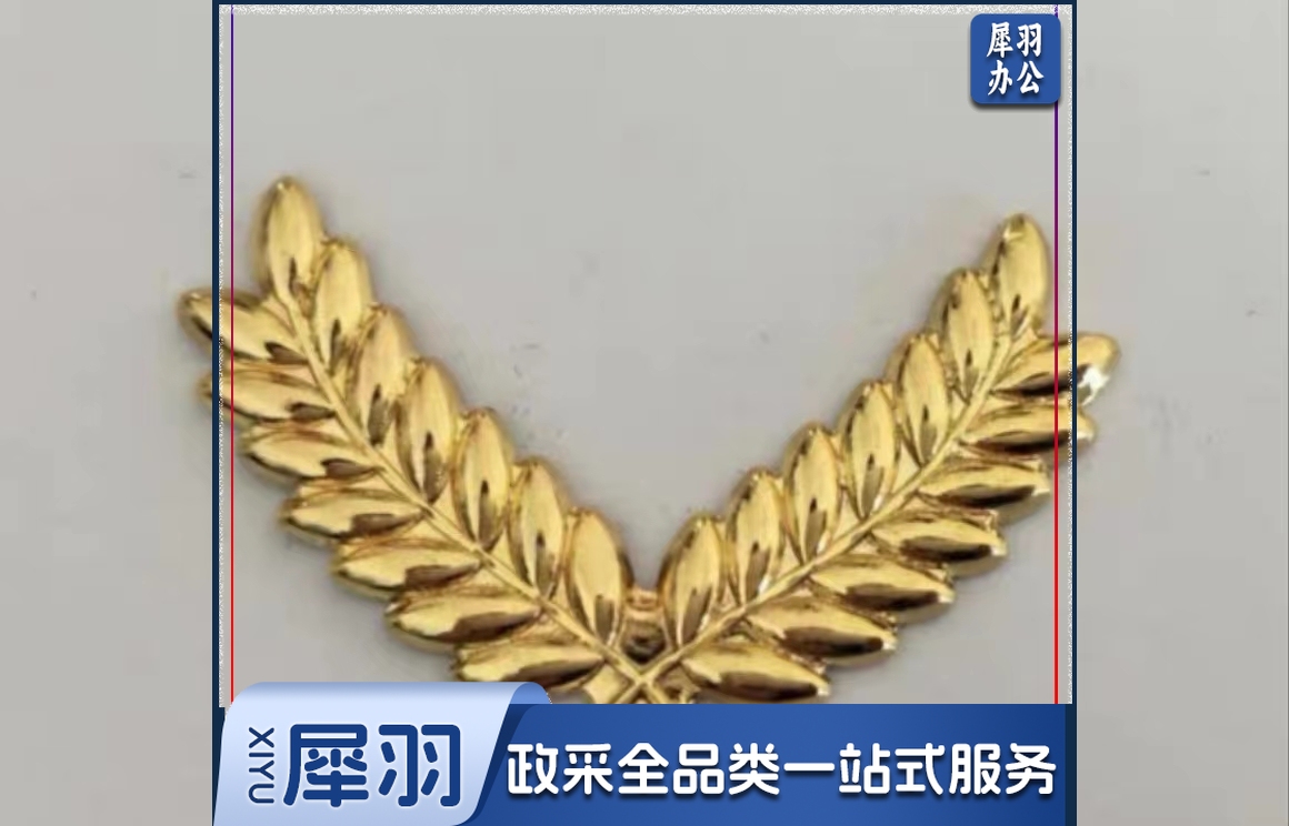 胸标定做金属胸标国旗班胸标