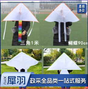 尺寸90cm 儿童绘画空白风筝 diy 手工风筝