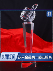 羽毛球比赛奖杯