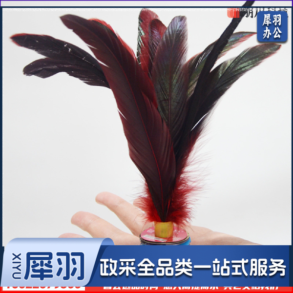 毽子 大公鸡毛比赛专用毽羽毛耐踢毛毽球鸡毛毽子(10个起售)