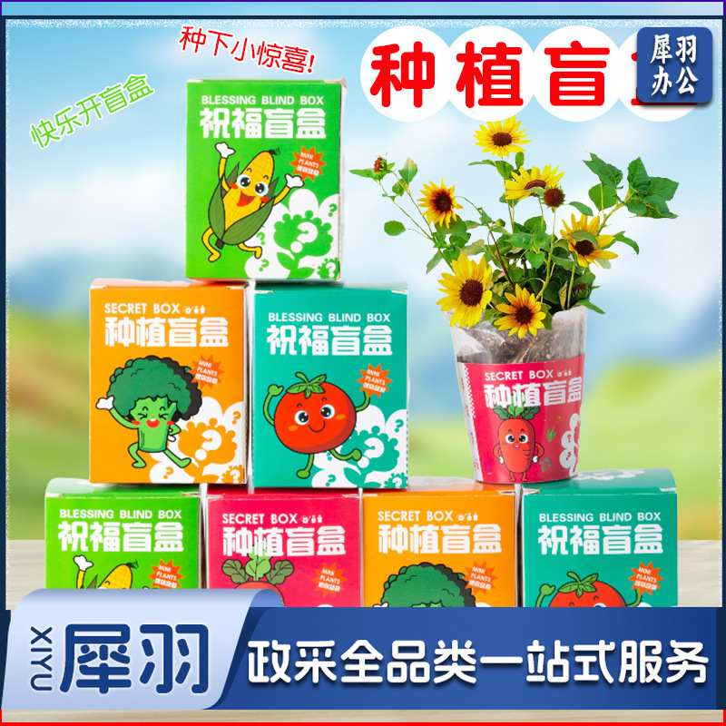 种植盲盒儿童植物盆栽小盆栽幼儿园观察植物小学生种子迷你（种植植物盲盒）
